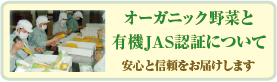オーガニック野菜と有機JAS認定について