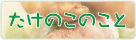 たけのこのこと
